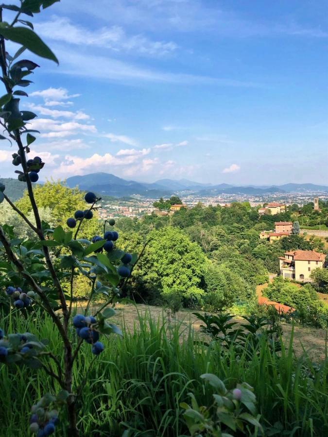Foresteria Antica Bastia B&B Bergamo Luaran gambar